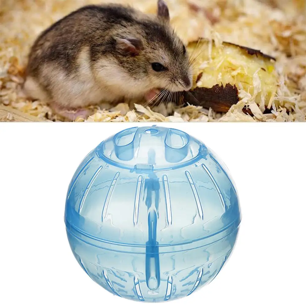 Thumbnail 4 - #8 Best Hamster Cages to Buy In 2026
