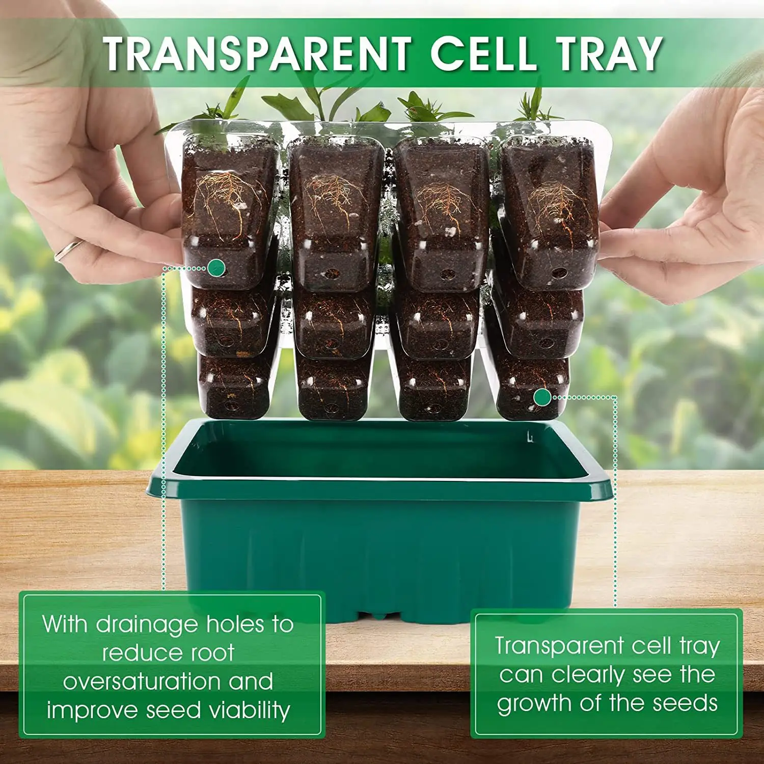

Seed Starter Kits Seedling Starter Tray (12 Cells per Tray) Humidity Adjustable Plant Germination Kits Garden Seed Starting Tray