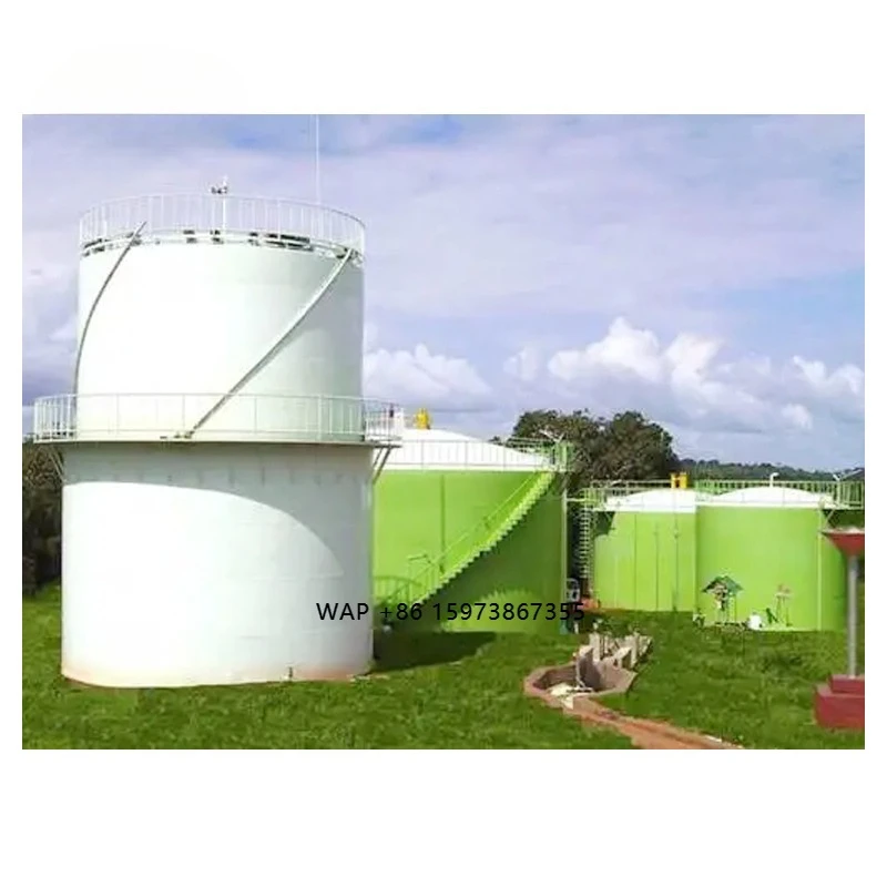Biogas power generation equipment for energy conservation and recycling of domestic, industrial, and agricultural waste