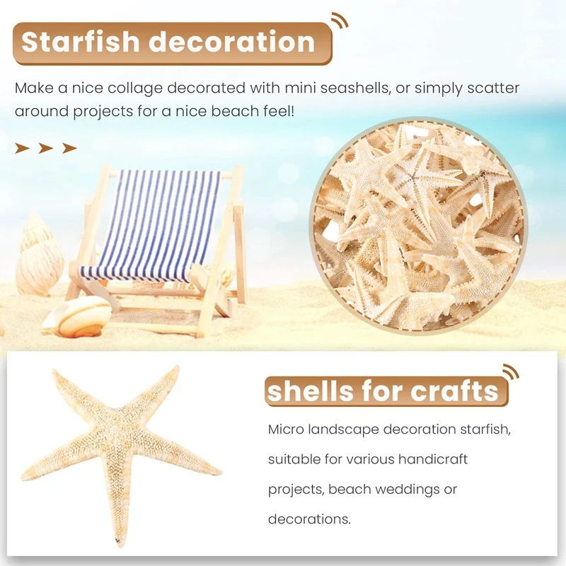 AD23-Pequena estrela do mar estrela concha do mar artesanato de praia 0,4 polegadas-1,2 polegadas 90 peças