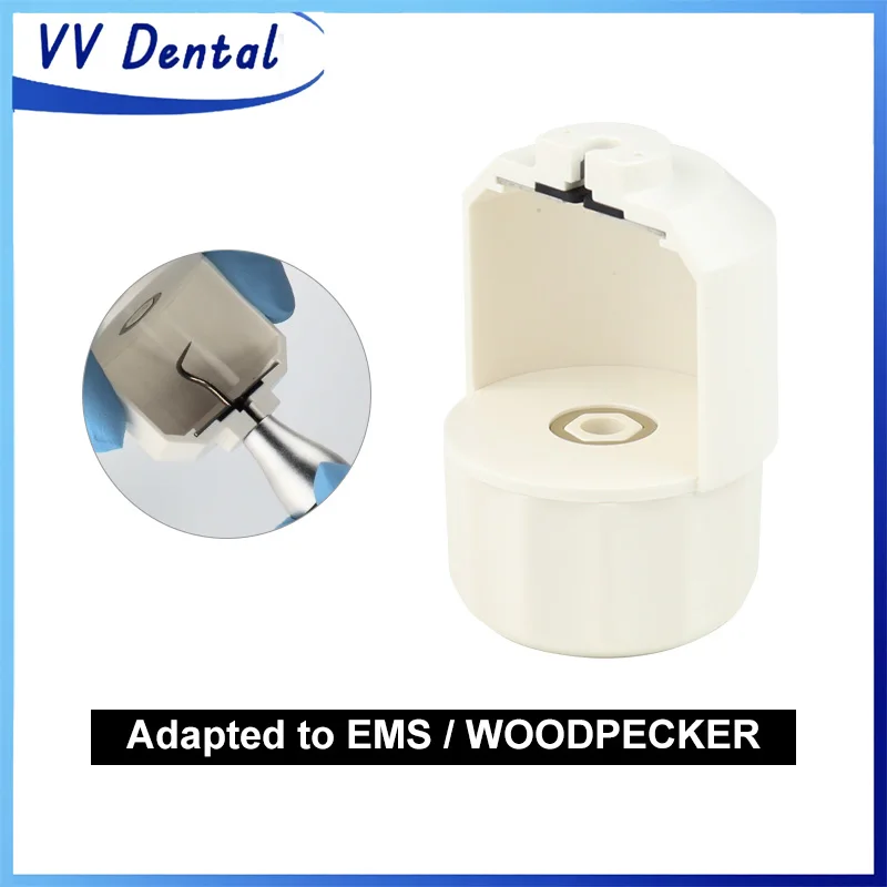 

Dental Semi-Cylindrical Ultrasound Scaler Tips Torque Wrench 135'℃ Sterilized Fit EMS/ Woodpecker Handpiece Dentista Tool