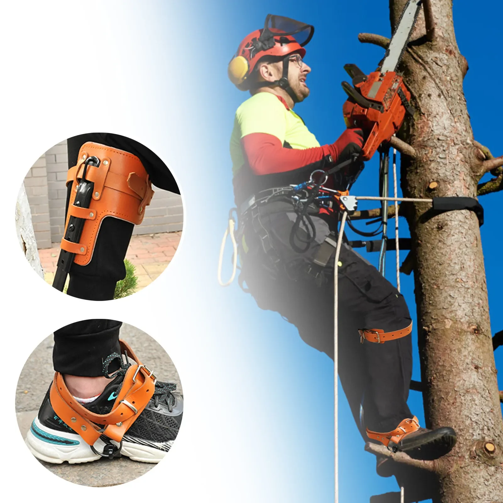 Imagem -05 - Espessamento Ajustável Tree Climbing Spikes Stand-up Tree Climbing Spurs Ferramenta Integrada para Alpinista Logging e Hunting