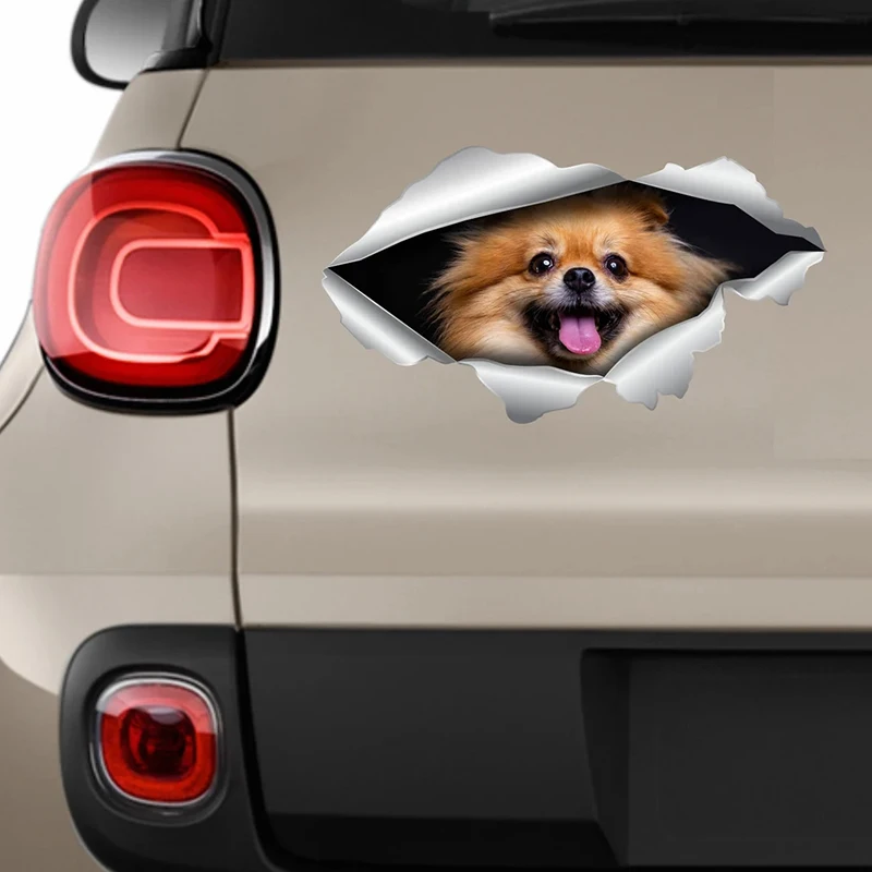 V1136# Car Sticker Pomeranian Dog Pet Waterproof Vinyl Decal Accessories Decor Pegatinas Para Coche