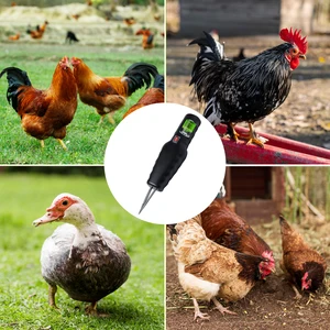 جهاز نتف الشعر الكهربائي المقاوم للماء ، المكونات الإضافية ، الموديلات المحملة ، آلة إزالة الريش ، الدجاج ، البط ، الأوز ، آلة إزالة الشعر الأوتوماتيكية أفضل 6 مبيعات لنتف الدجاج - رقم 3