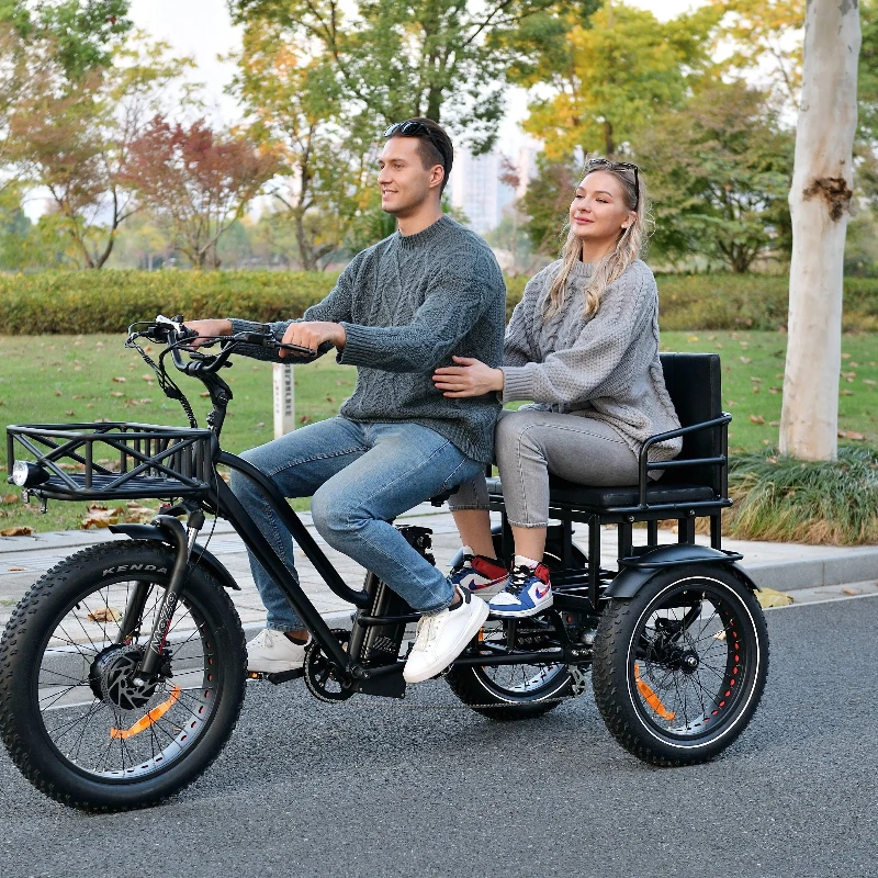 China's new 3-wheel manned electric tricycle front drive 24-inch family freight bicycle adult tire tricycle 750W