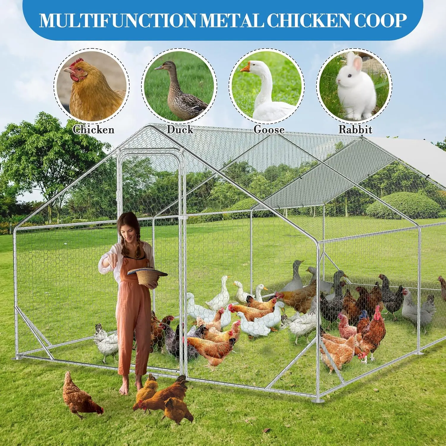 حظيرة دجاج معدنية كبيرة، 9.8 بوصة طول × 6.5 بوصة عرض × 6.5 بوصة ارتفاع قفص الدواجن المشي، بيت أقلام تشغيل الدجاج مع مقاوم للماء ومضاد للأشعة فوق البنفسجية C #2