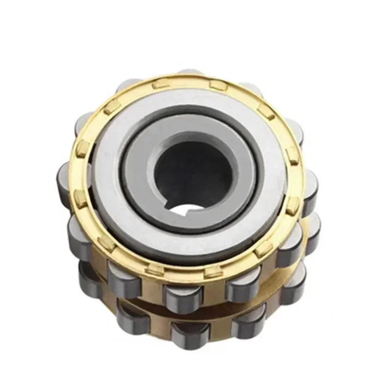 RN205M Double Row Cylindrical Roller Bearing - Eccentric Sleeve Reducer Wheel Cage