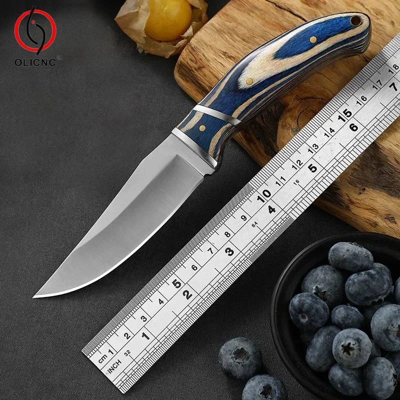 Cuchillo de cocina portátil para acampar, mango de madera, acero inoxidable, afilado para el hogar, bolsillo, barbacoa, cuchillo para carne