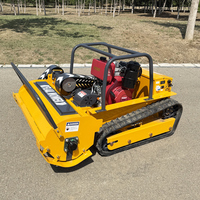 Customized High-Performance Affordable Home Tracked Lawn Mower Self-Propelled Zero-Turn Remote Control Garden Mower