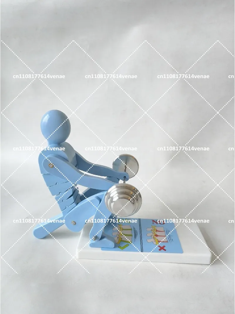Blue Human Spine Model for Weightlifting Posture Correction, Waist Lumbar Support Fitness Demonstration