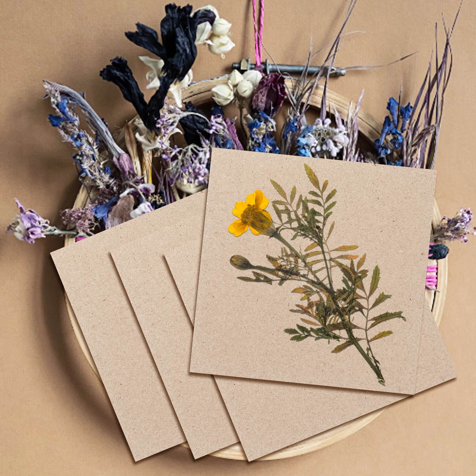 

4Pcs Flower Press Drying Boards Wooden Durable Plant Specimen Pressing Tools DIY Flowers Preservation Craft Kit for Wedding