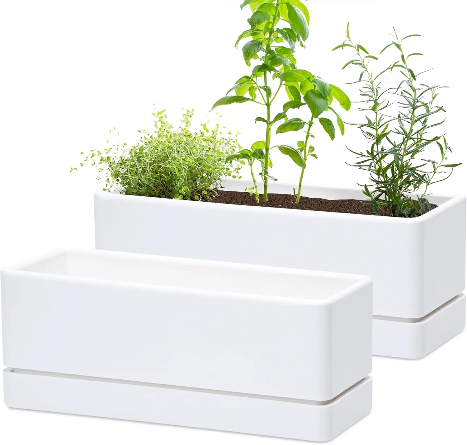 Maceta Rectangular de Plástico de 12 Pulgadas con Orificios de Drenaje y Plato, Maceta para Cactus y Suculentas de Interior para Ventanas, Jardín y Balcón