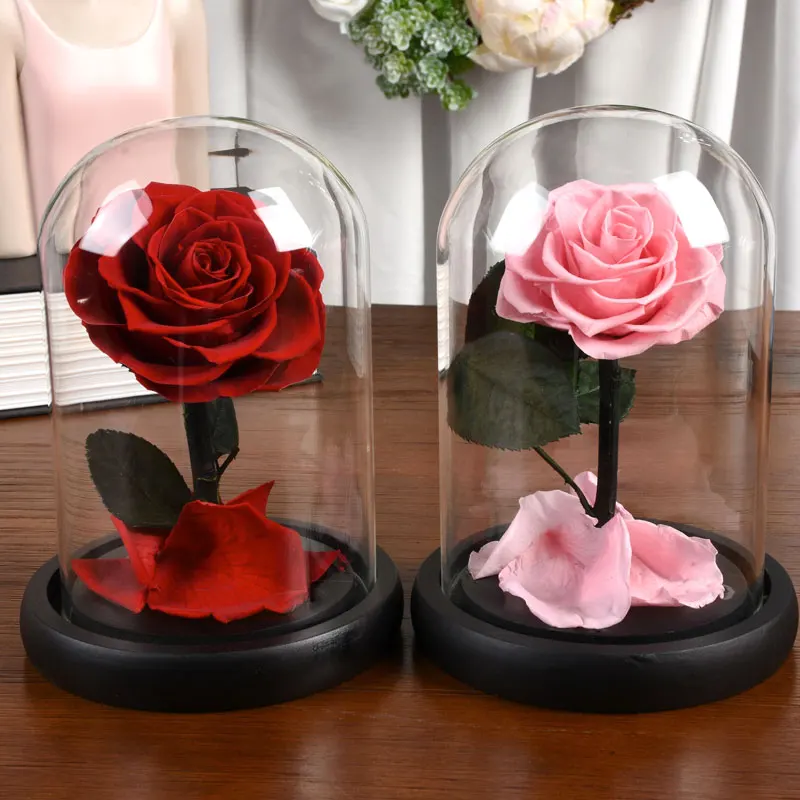 

Preserved Real Roses in Glass Dome Valentines Day Gifts Roses Eternal Flowers for Women Christmas Day Birthday Anniversary Gift