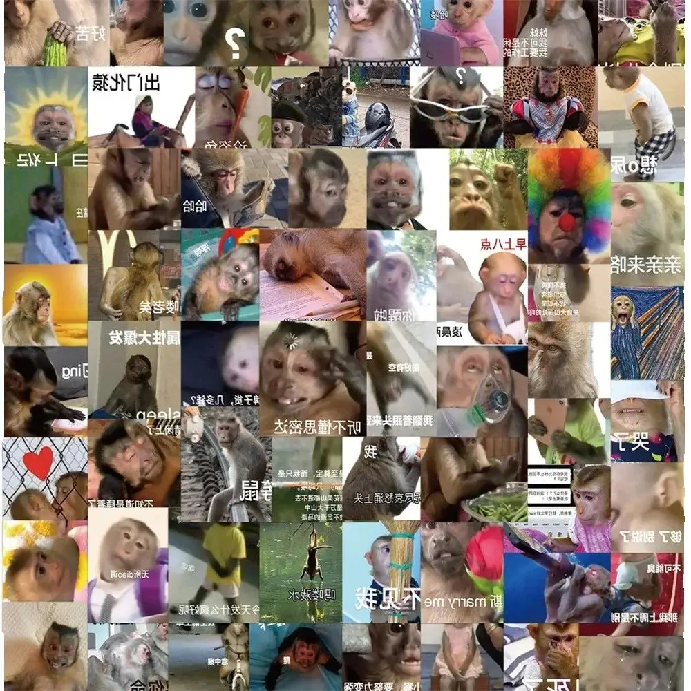 70PCS Brand New DIY Monkey Animal Stickers, Cartoon Creative Cartoon Style, Suitable for iPad, Computer, Suitcase.