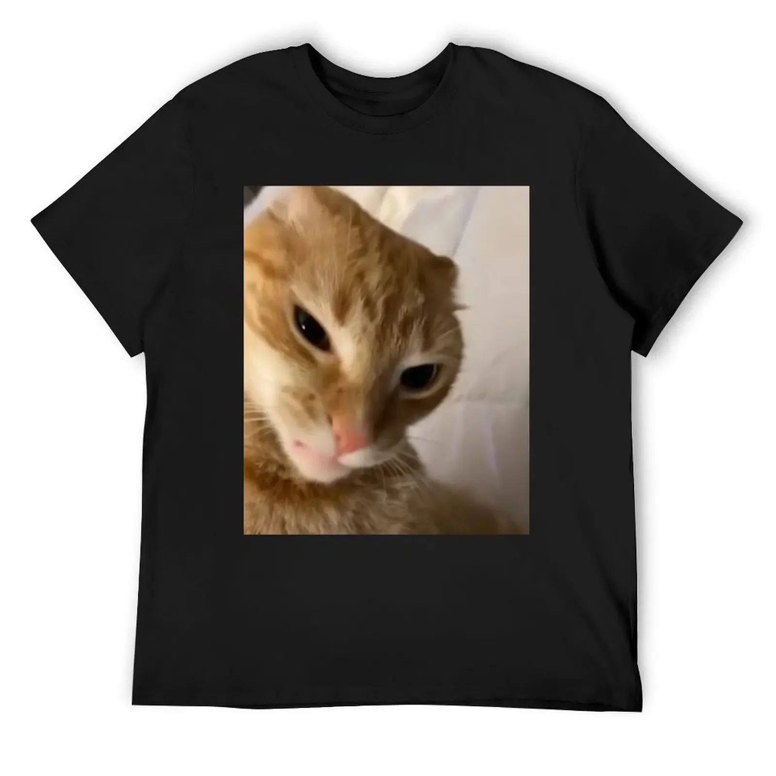 

Angry orange cat meme T-Shirt basketball graphic tees quick drying tshirts for men