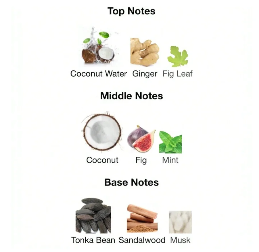 Rasasi Hawas Tropical Eau De Parfum, новое издание 2025 года — долговечный EDP для мужчин объемом 3,38 унции, улучшенный цветочный аромат с роскошным эффектом