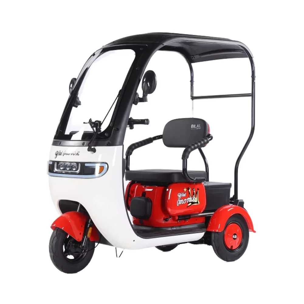 

2025 оптовая продажа с фабрики высокой мощности 800 Вт мотор 3-колесный электрический трехколесный велосипед Electrica для взрослых