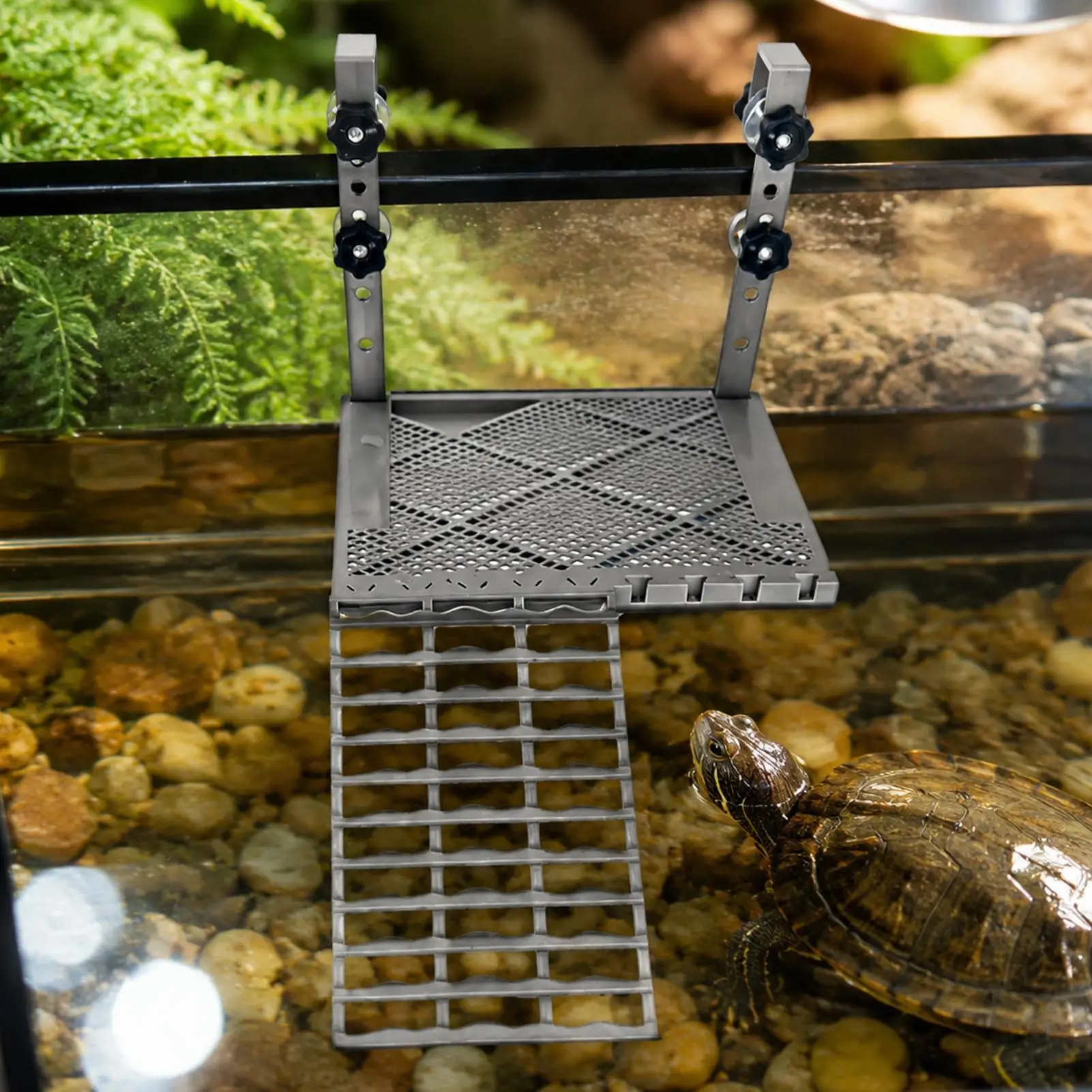 Form Hanging Turtle BaskingPlatform With Suction Cups Non-slip Ramp Terrace Built-in Aquarium Decoration For Fish Tank