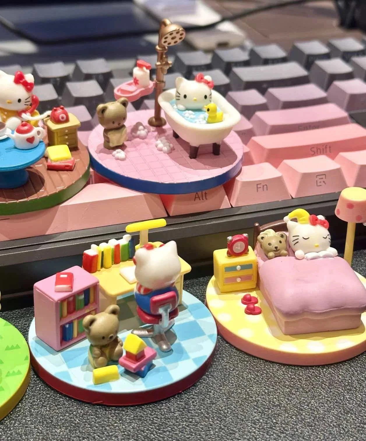 New Stock Kt Cat Wo…