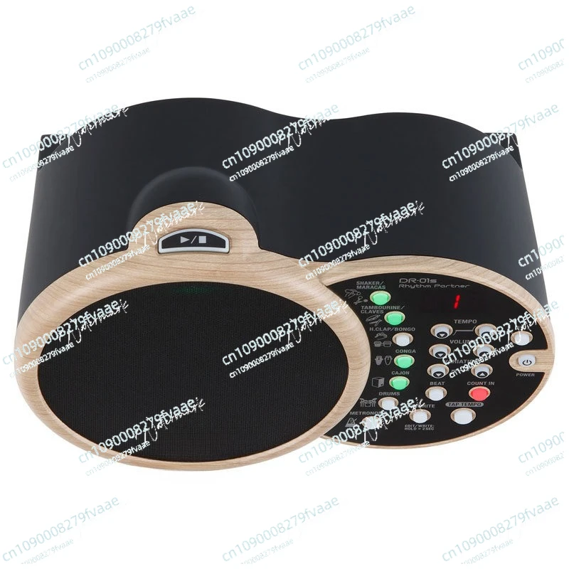 BOSS Roland DR01S Electric Blowpipe Electric Acoustic Guitar Rhythm Companion Automatic Accompaniment Rhythm Maker Drum Machine