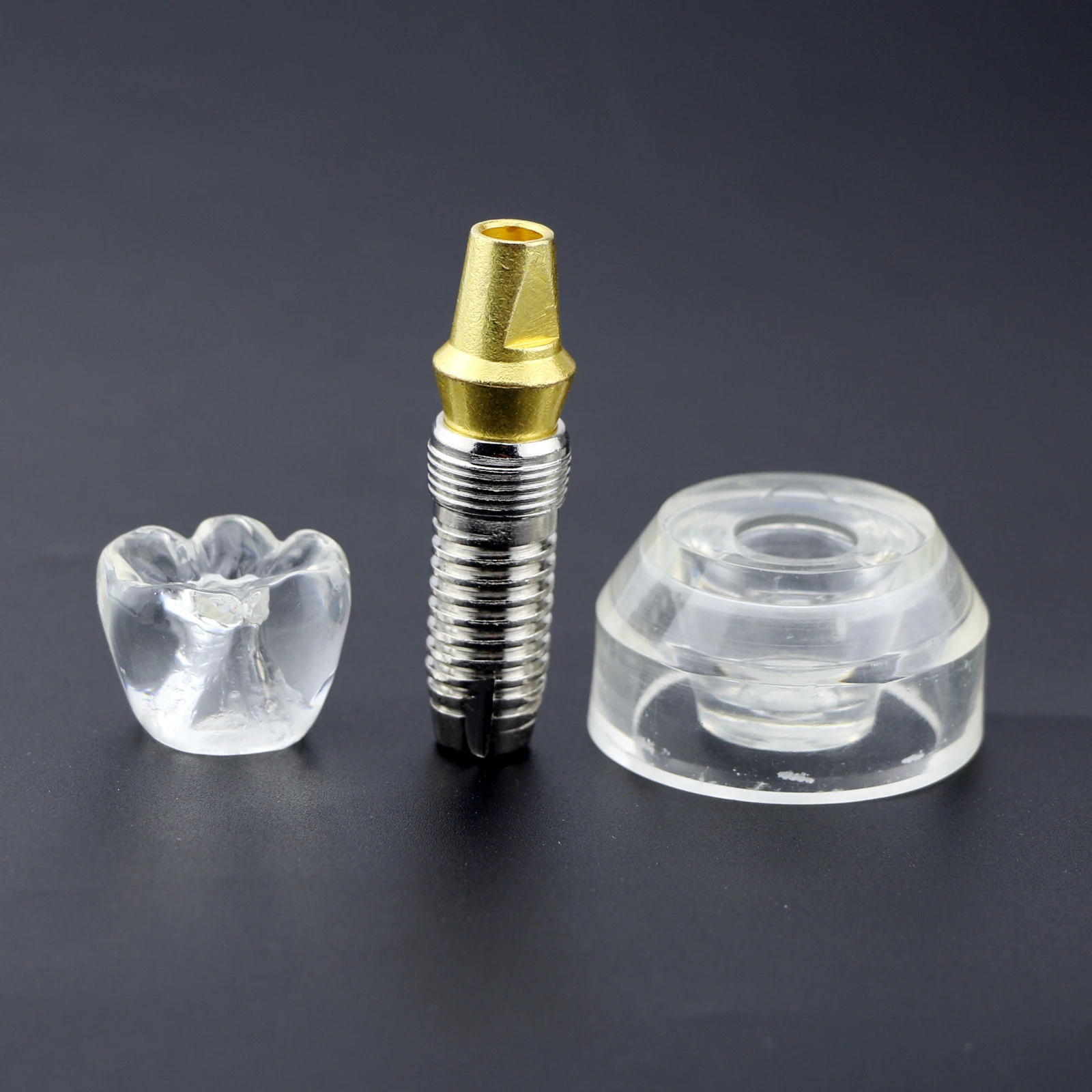 

M2020 Dental Implant Model Demonstration Teeth Study Teach Model Detachable Implant and Abutment Clear