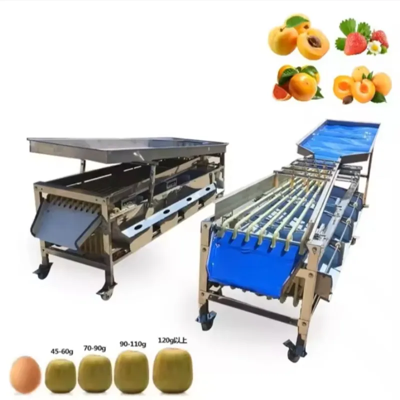 Custom Potatoes Garlic Cherry Plum Dates Cashew Pineapple Sorter Sorting Grading Machine for Vegetable Fruit