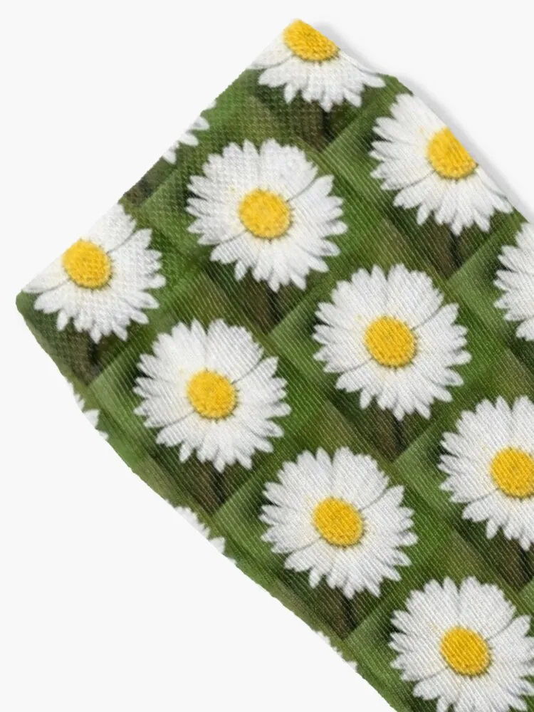 Closeup Of A Beautiful Yellow And Wild White Daisy Flower Socks Men Gift