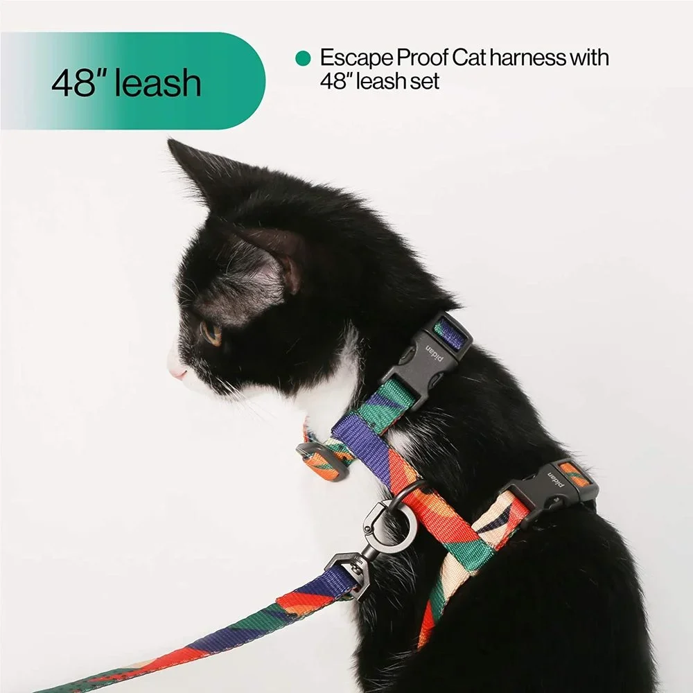 Pidan-Traction Rope Set for Cats, H-Shaped Harness, Walking Rope, Anti-Break, Away Cat Chain, Pet Supplies, Accessories