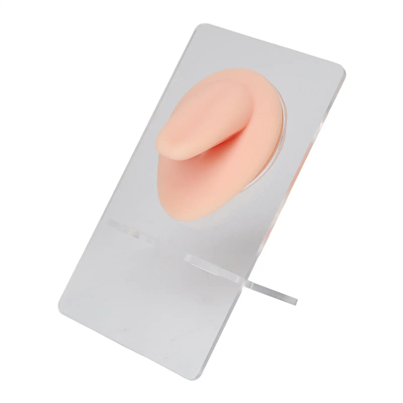 

Lifelike Silicone Tongue Model with Stand - Reusable Practice Tool for piercing Salons & Beginners