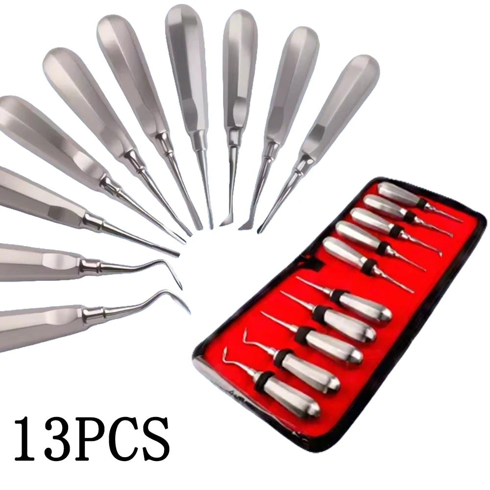 13Pcs Stainless Steel Hex Handle Dental Luxating Elevator Set Curved Root Surgical Instruments For Tooth Extraction