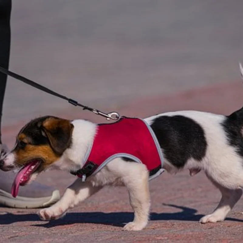 

115 мм обод колеса и шины RC шина 17 мм шестигранник для деталей радиоуправляемого автомобиля внедорожный багги 1/8 ARRMA TYPHON KYOSHO HSP обновленные детали