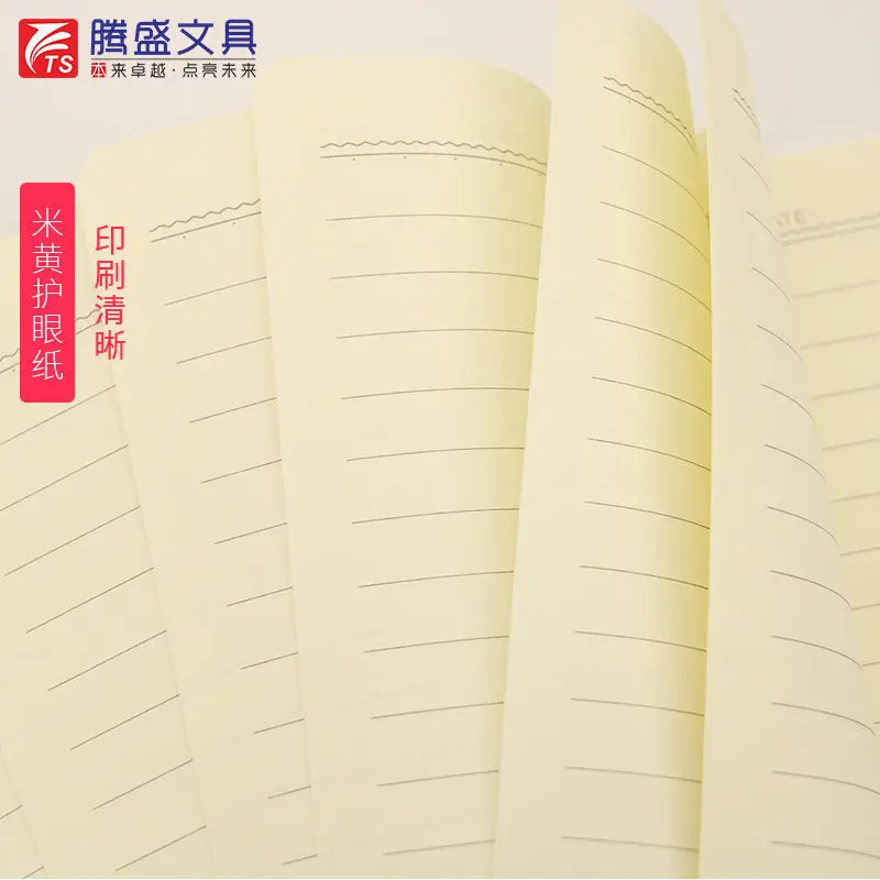 16K car line simple subject large subject this wrong topic error correction composition text math English book planner supplies