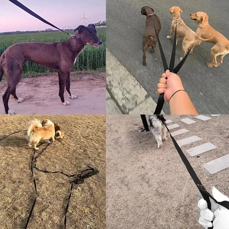 Nylon Dog Leash 6
