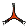 for Orange