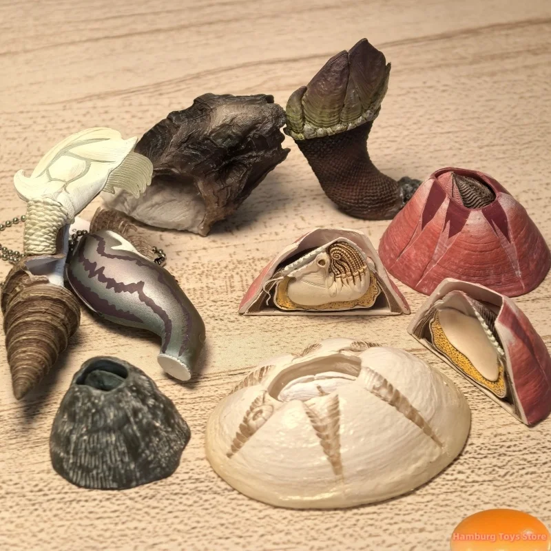 Ikimon Ntc Guideboo…