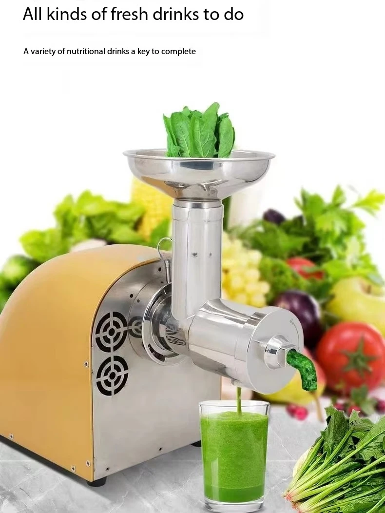 Cold Press Juicer Extractor Machine/ Low Noise Automatic Vegetable Juicer Machine