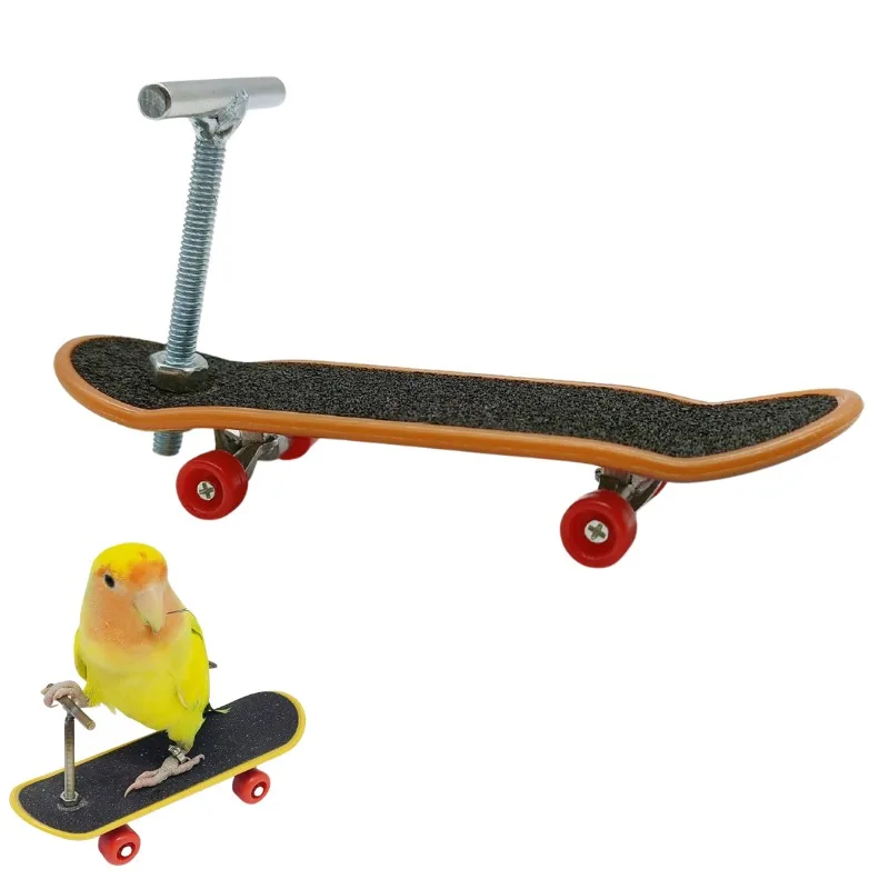 

Upgrade Version Parrot Scooter Toy Alloy Support Intellectual Training Tool Perfect for Budgies Lovebirds Parakeets Professional