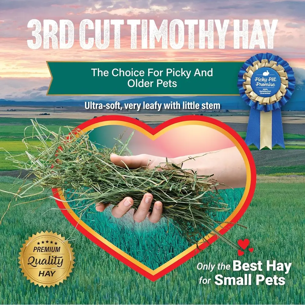 القطع الثالث لطعام الحيوانات الأليفة من تيموثي هاي فائق النعومة للأكل الصغير والأرانب وخنازير غينيا والحيوانات الصغيرة الأخرى، سهلة التخزين،