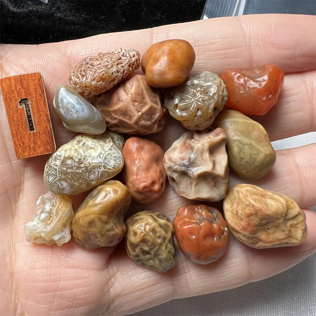 15pcs/lot Natural Agate Gobi Stone Rib Gangue Stone Rough Bulk Wholesale Clear vein texture Collectibles amulet jewelry