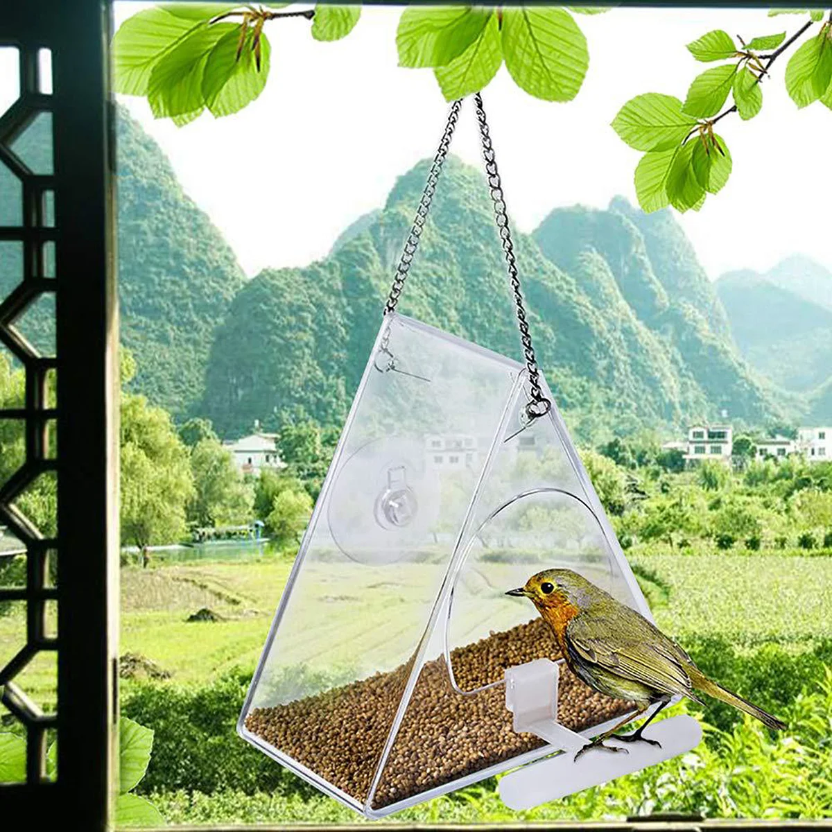 

Creative Acrylic Bird Feeder Hanging Pendant Small Bird Feeding Bowl Outdoor Indoor Birds Food Cage Feeder Rack for Canary
