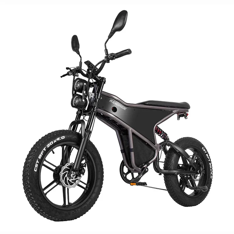 DM711 Elektrorad Test: Warum das RANDRIDE DM711 20-Zoll-Fat-Tire-E-Bike mit Doppelantrieb die beste Wahl für Gelände und Stadt ist