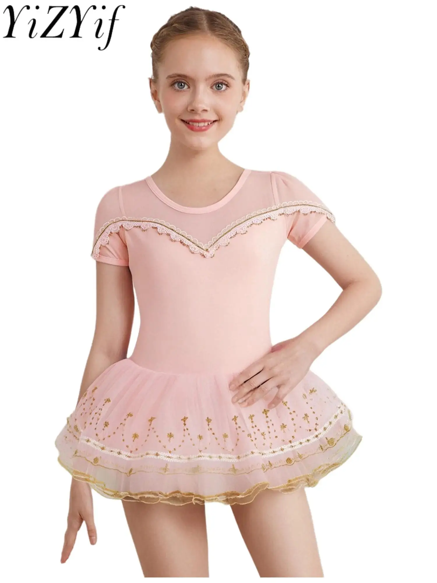 

Kids Girls Tutu Ballet Dance Performance Dress Princess Sheer Mesh Lace Trim Embroidery Hem Tutu Ballet Stage Party Dance Dress