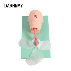 DARHMMY Child Trachea Intubation Training Model，Medical Teaching Model