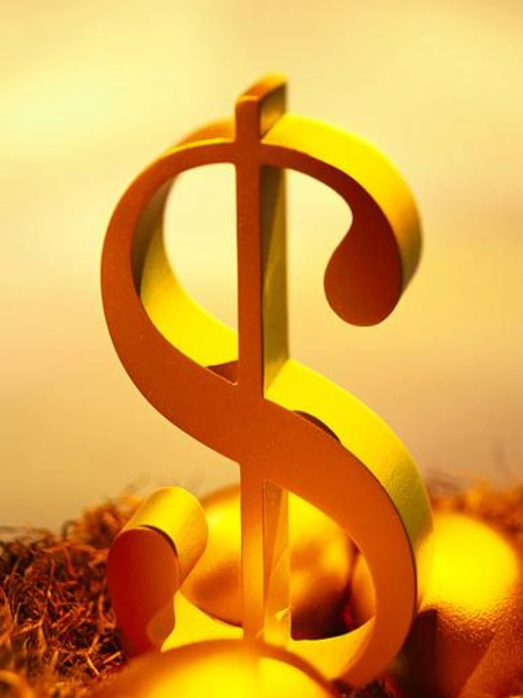 

Difference In Price or Extra Fee for your Order as Discussed