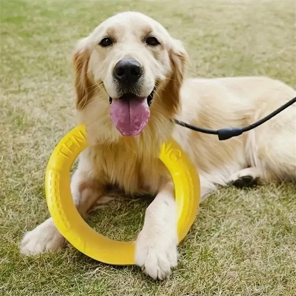Dog Ring Toys Indestructible Chewing Flying Floating Training Tools Fetch for Small Medium Large Dogs Throwing Catching Flying image 3
