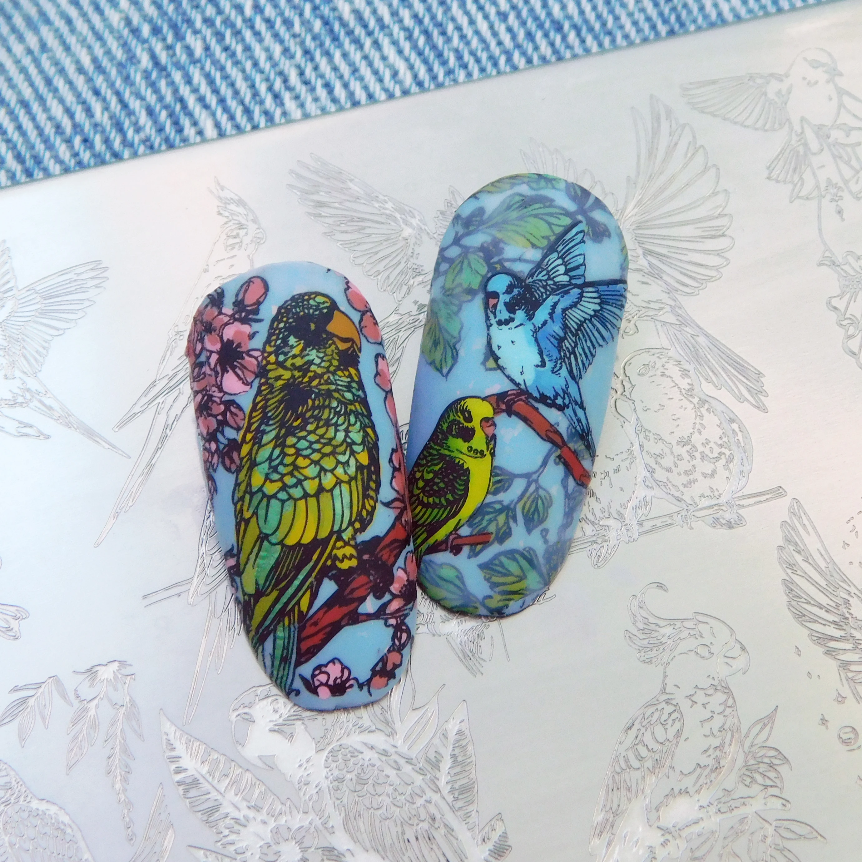 XMQ NAIL ART STAMPING PLATES CAKE TEMPLATES BIRDS IMAGEPLATE