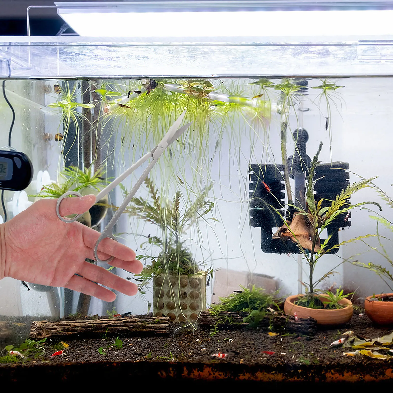 

Straight Stainless Steel Scissors for Aquatic Plant Trimming Rust-Resistant Long Handle Easy to Use Long Handle Scissors