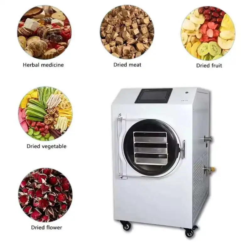 Lab Mini Lyophilizer Fruit Food Freeze Drying Machine Freeze Dried Coffee Dehydrator Vacuum Freeze Dryer Equipment For Sale