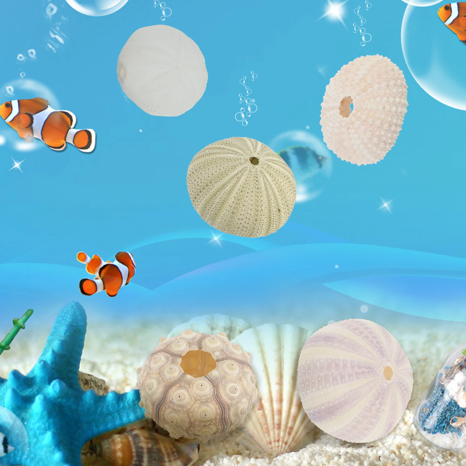 

5pcs Home Decoration Sea Shells Aquarium Landscape Fish Tank Accessories Bonsai Material Safe Edges Smooth Pet