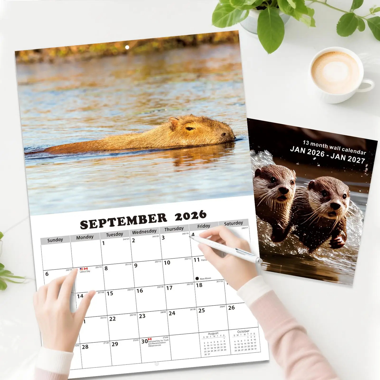 Wall Calendar 2026-2027 Anti Ink Bleed Personal Planner 13 Months Wall Calendar January 2026 With Julian Dates For Home School